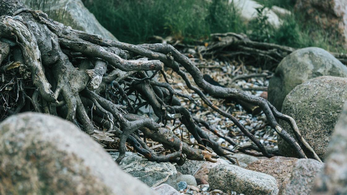 The Core Principle: Address the Root Cause, Not Just the Noise