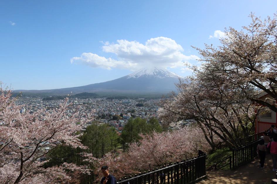 Beautiful Places to Travel in Japan: An Expert's Guide