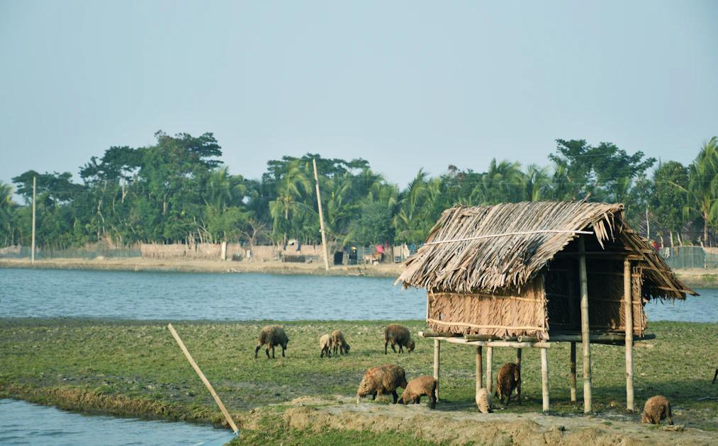 The Best Travel Places in Bangladesh: A Comprehensive Guide