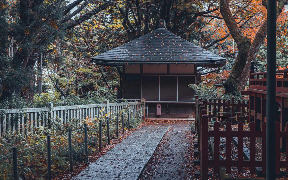 Complete Guide to travel places in japan