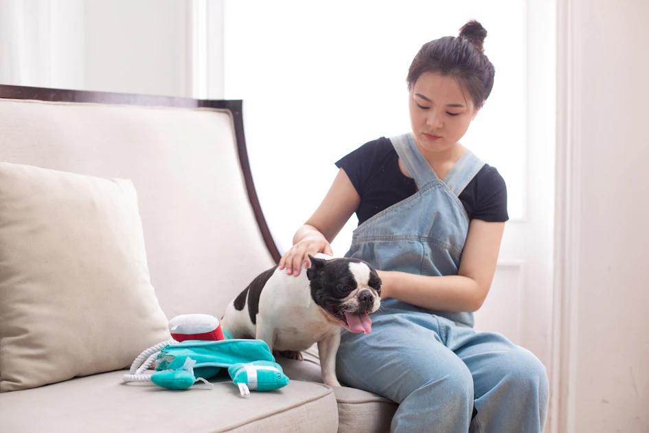 Pet ear cleaning supplies