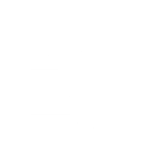 Zetta 55
