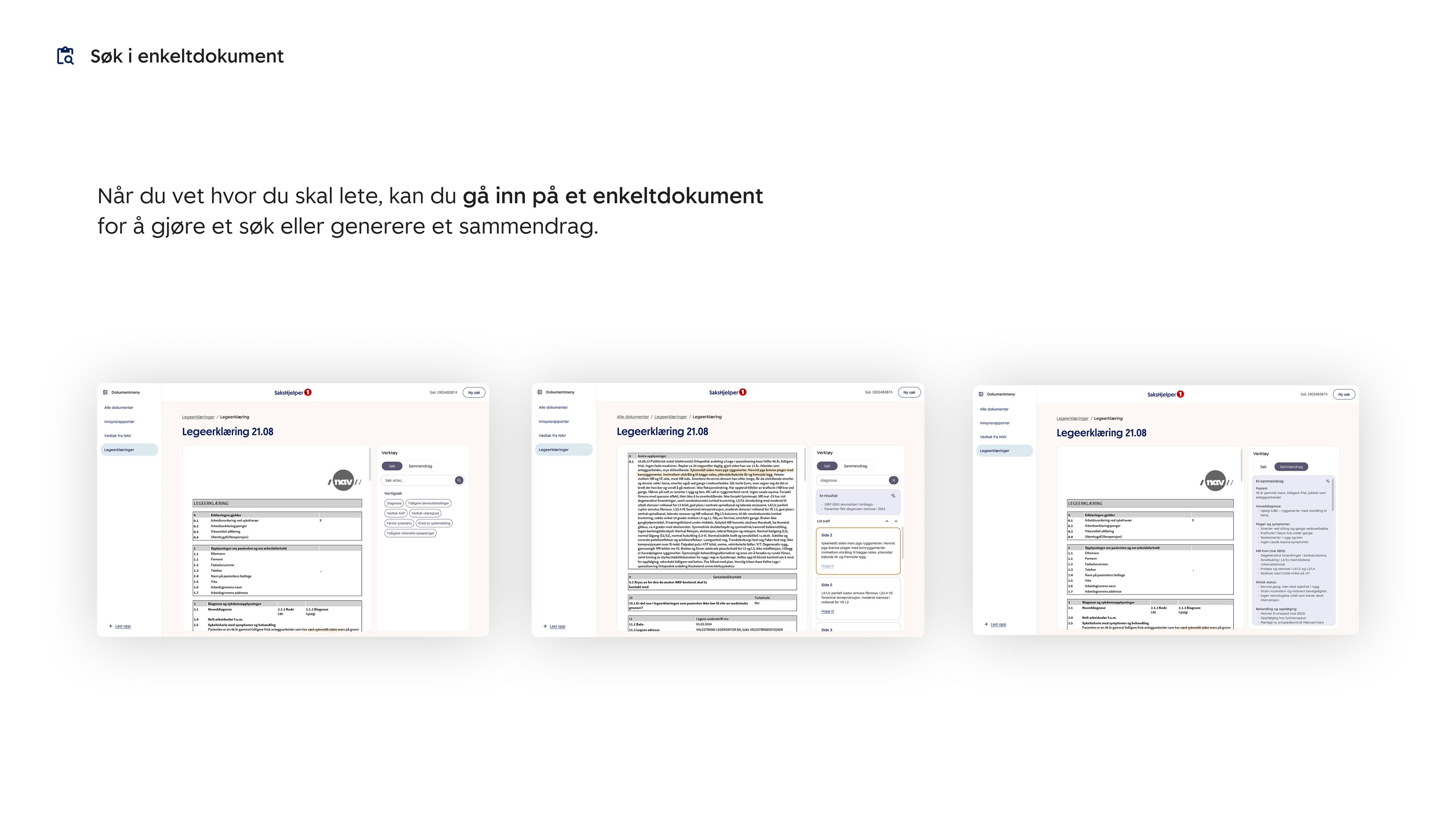 Søk i enkeltdokument: Når du vet hvor du skal lete, kan du gå inn på et enkeltdokument for å gjøre et søk eller generere et sammendrag.