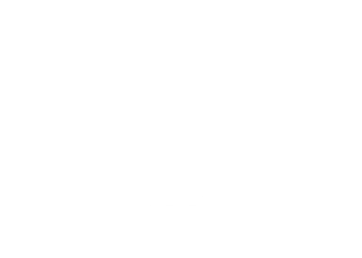 Demon Stration
