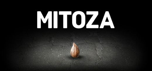 Mitoza