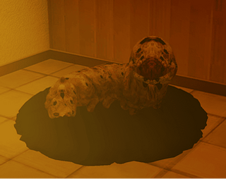 petsitting
