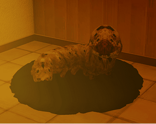 petsitting