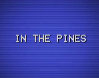In the Pines