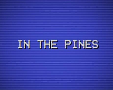In the Pines