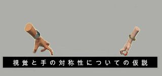 視覚と手の対称性についての仮説