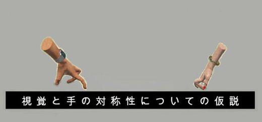 視覚と手の対称性についての仮説
