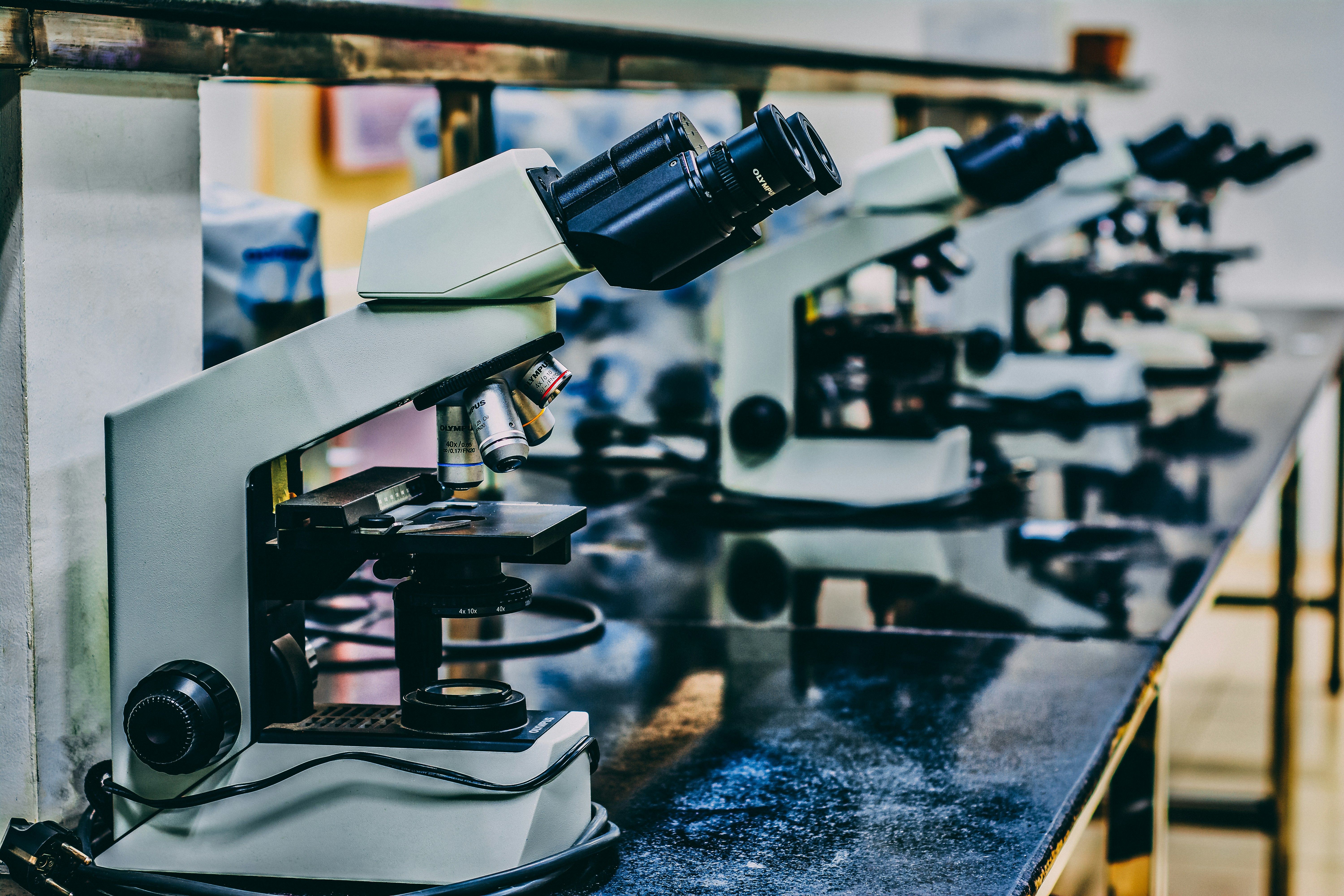 A row of microscopes neatly arranged on a laboratory workstation, ready for scientific examination and research. A row of microscopes neatly arranged on a laboratory workstation, ready for scientific examination and research.