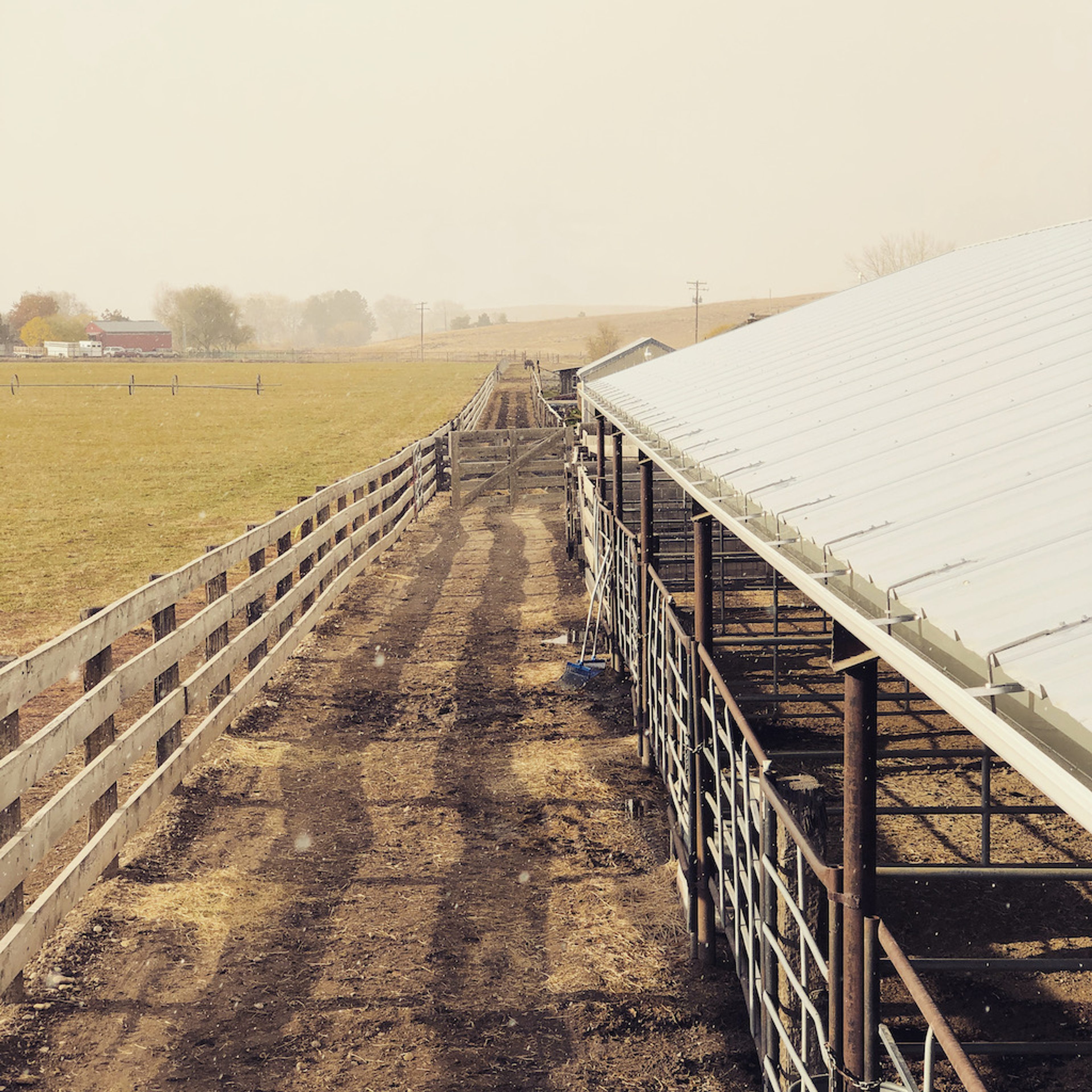 Metal-roofed outbuilding near Kuna, Idaho with a gutter system installed