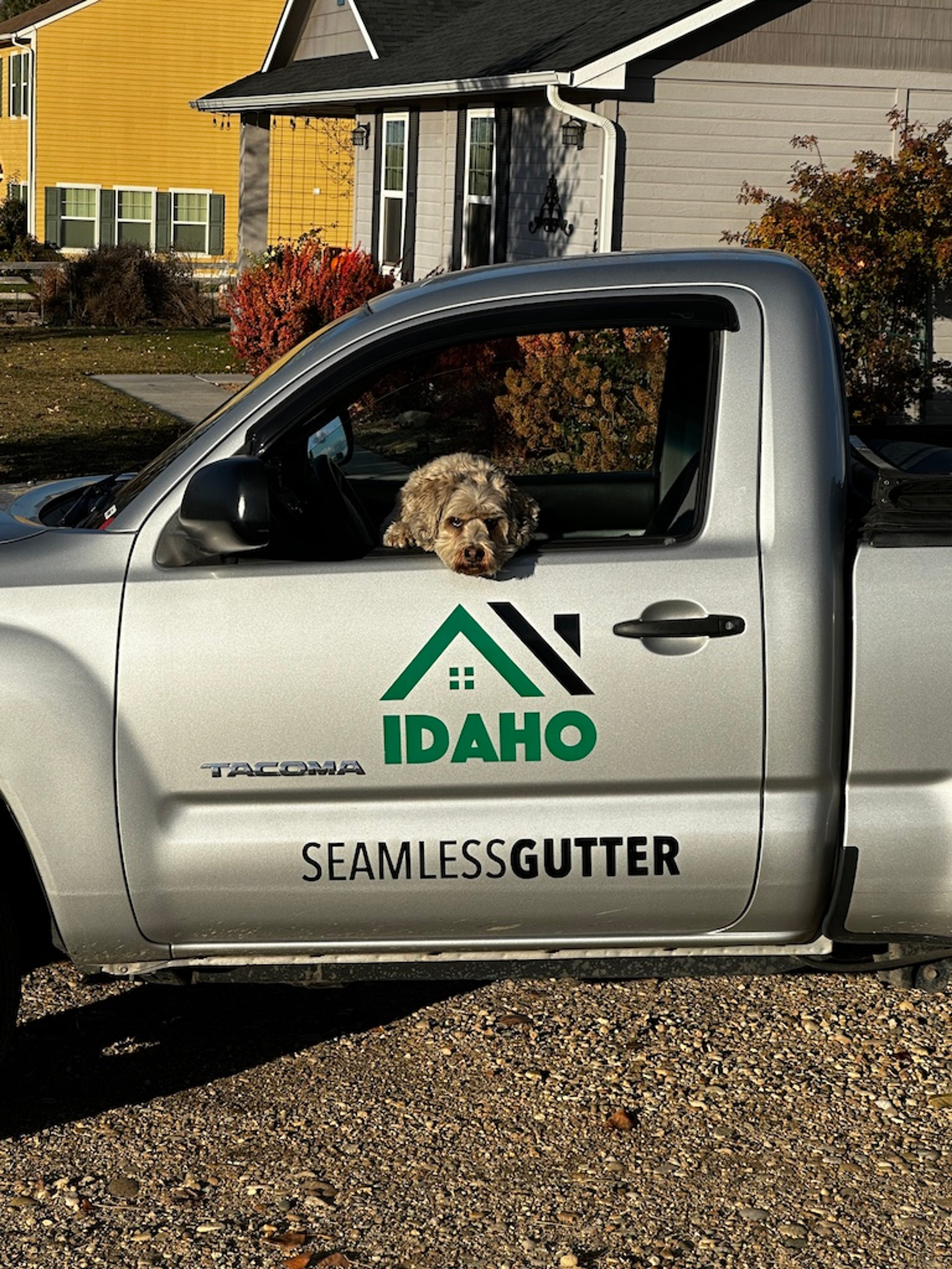 Dog inside of Idaho Seamless Gutter truck