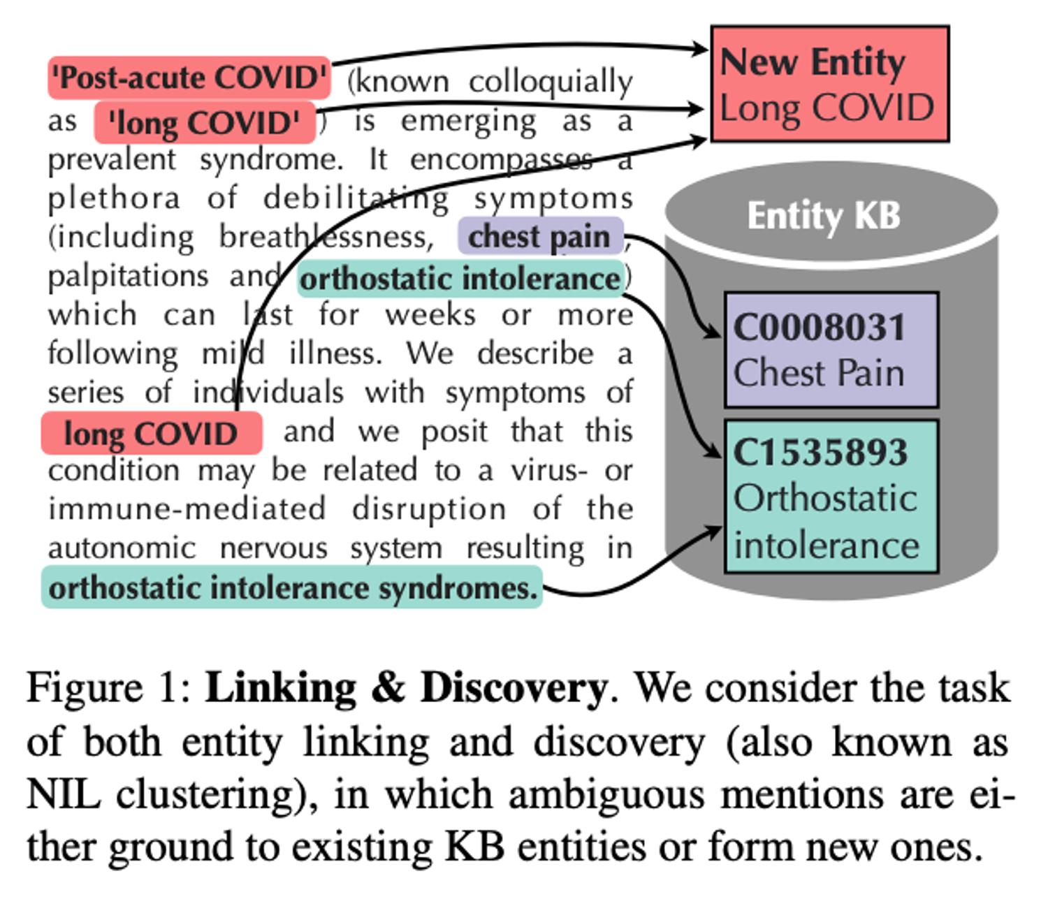 Entity Linking and Discovery