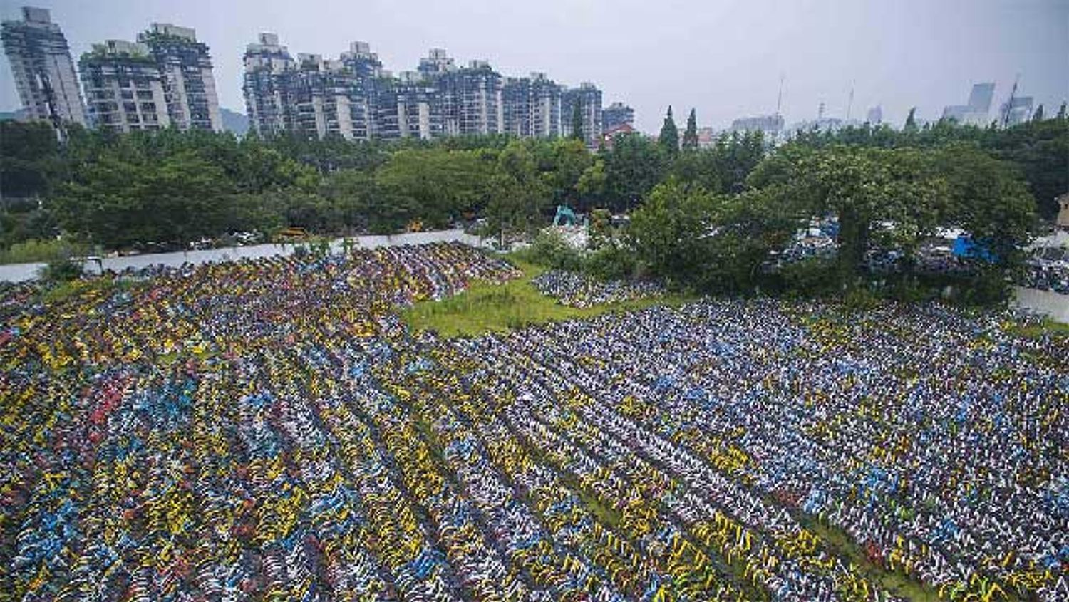 Bike sharing cemetery