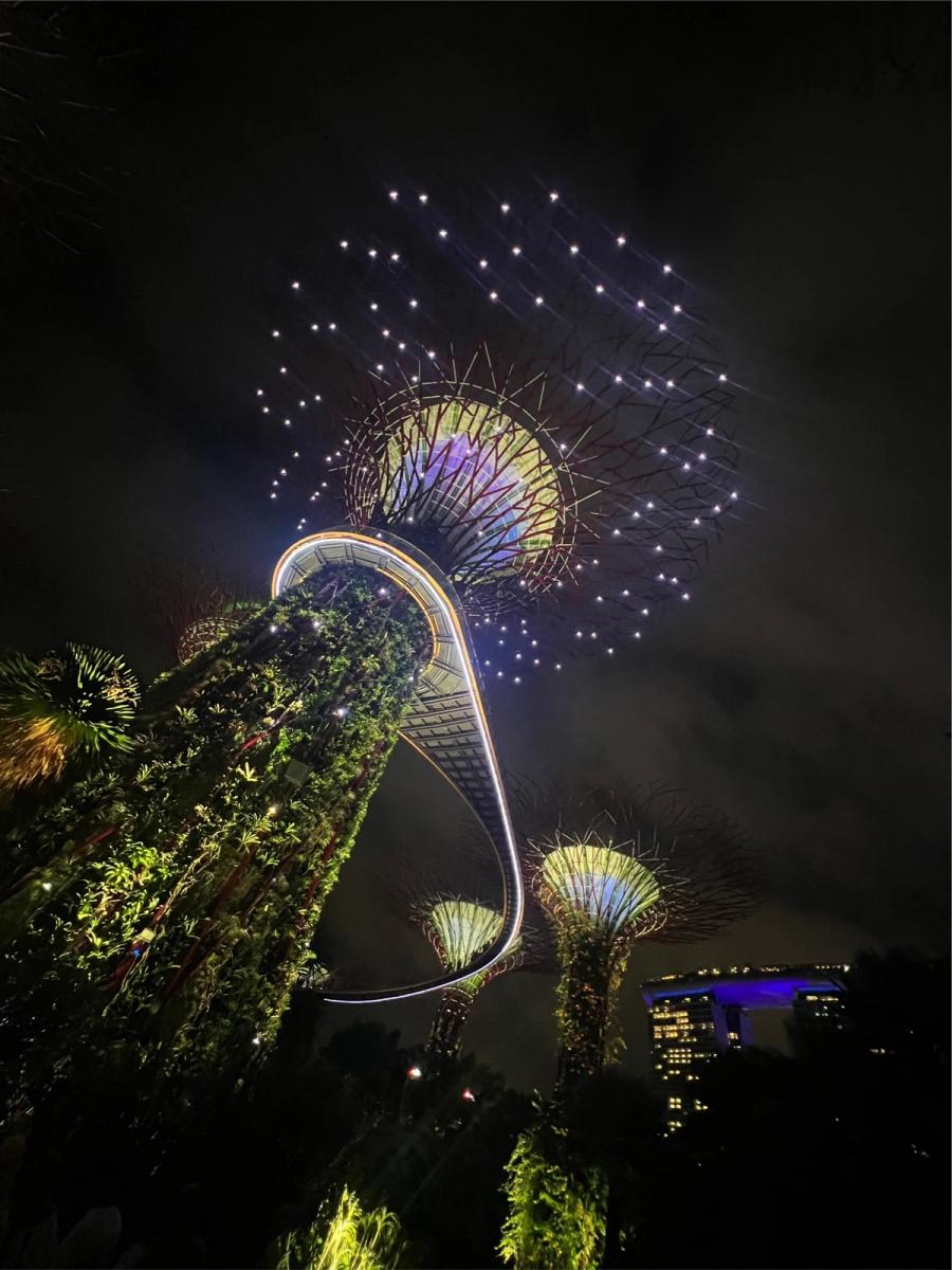 Supertree Grove at night, lit in purple and gold, with the OCBC Skywalk bridge curving through the frame under a dark sky