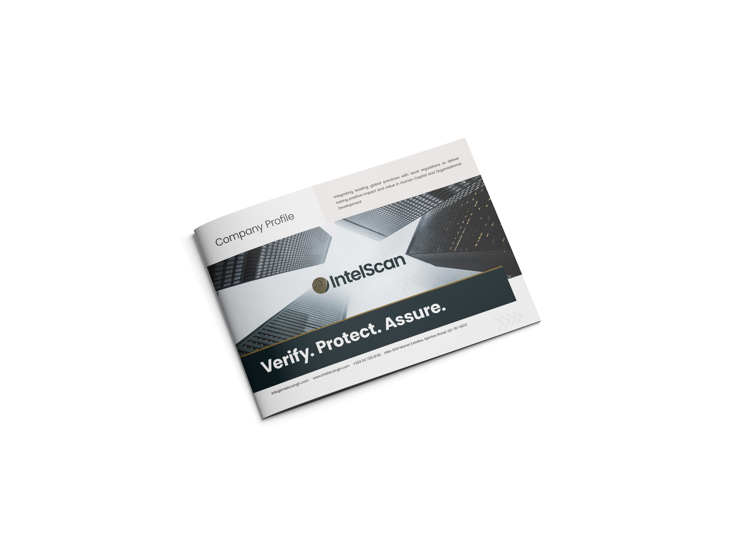 Intelscan Brand Identity image 1
