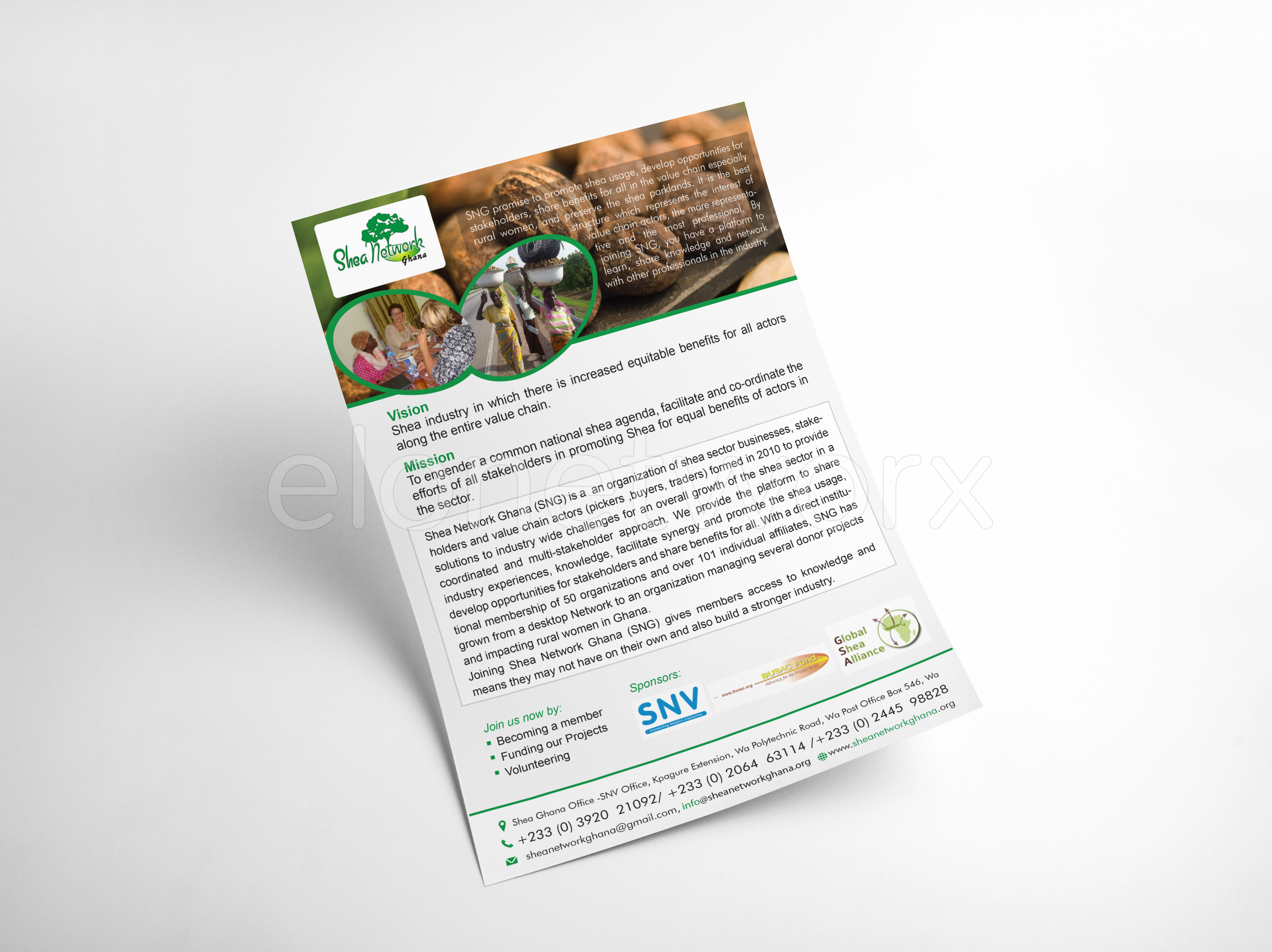 Shea Network Ghana 