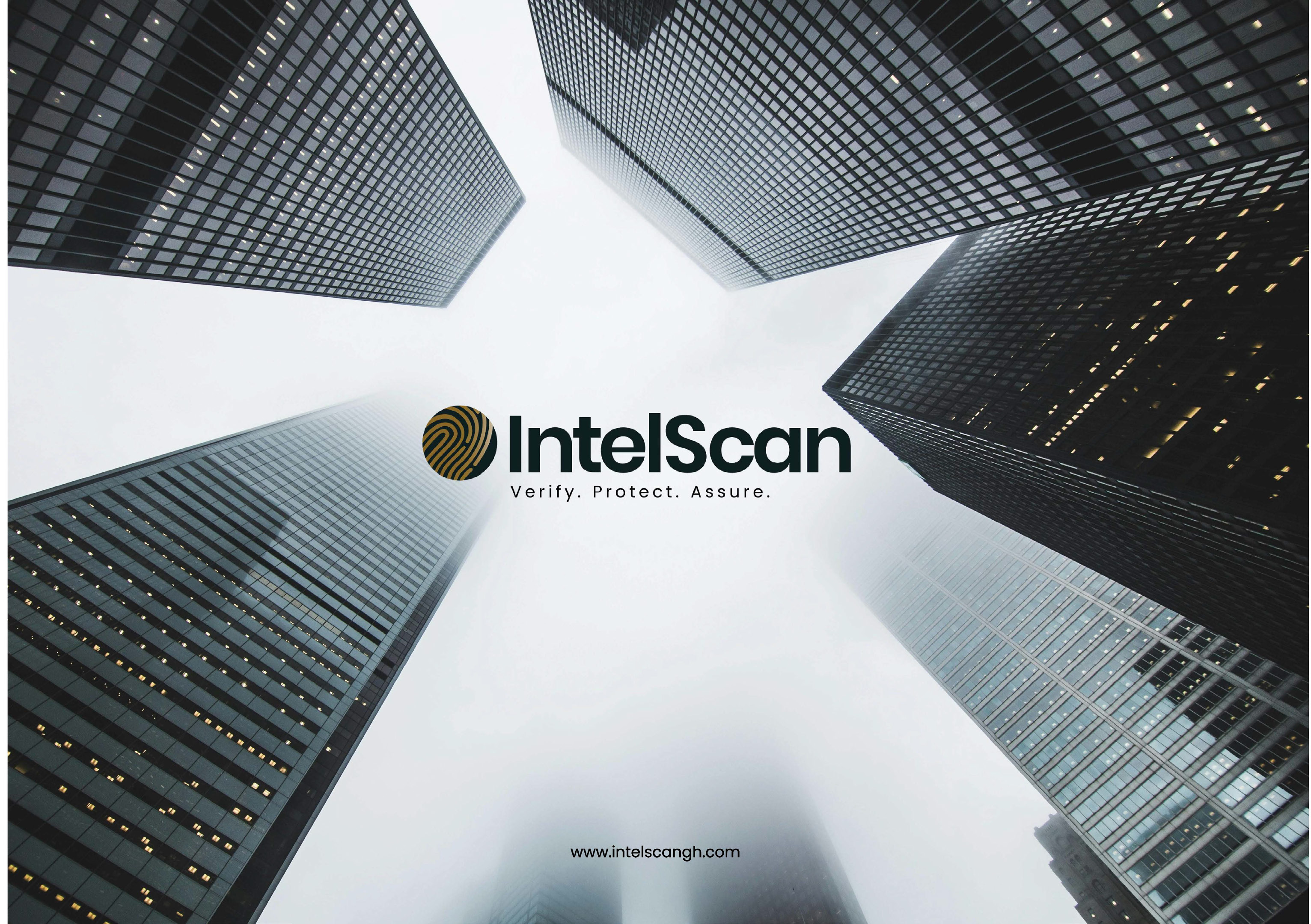 Intelscan Brand Identity