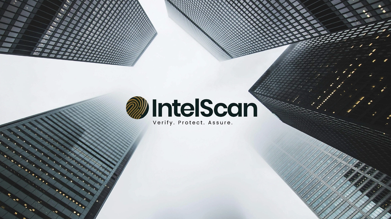 IntelScan Brand Identity