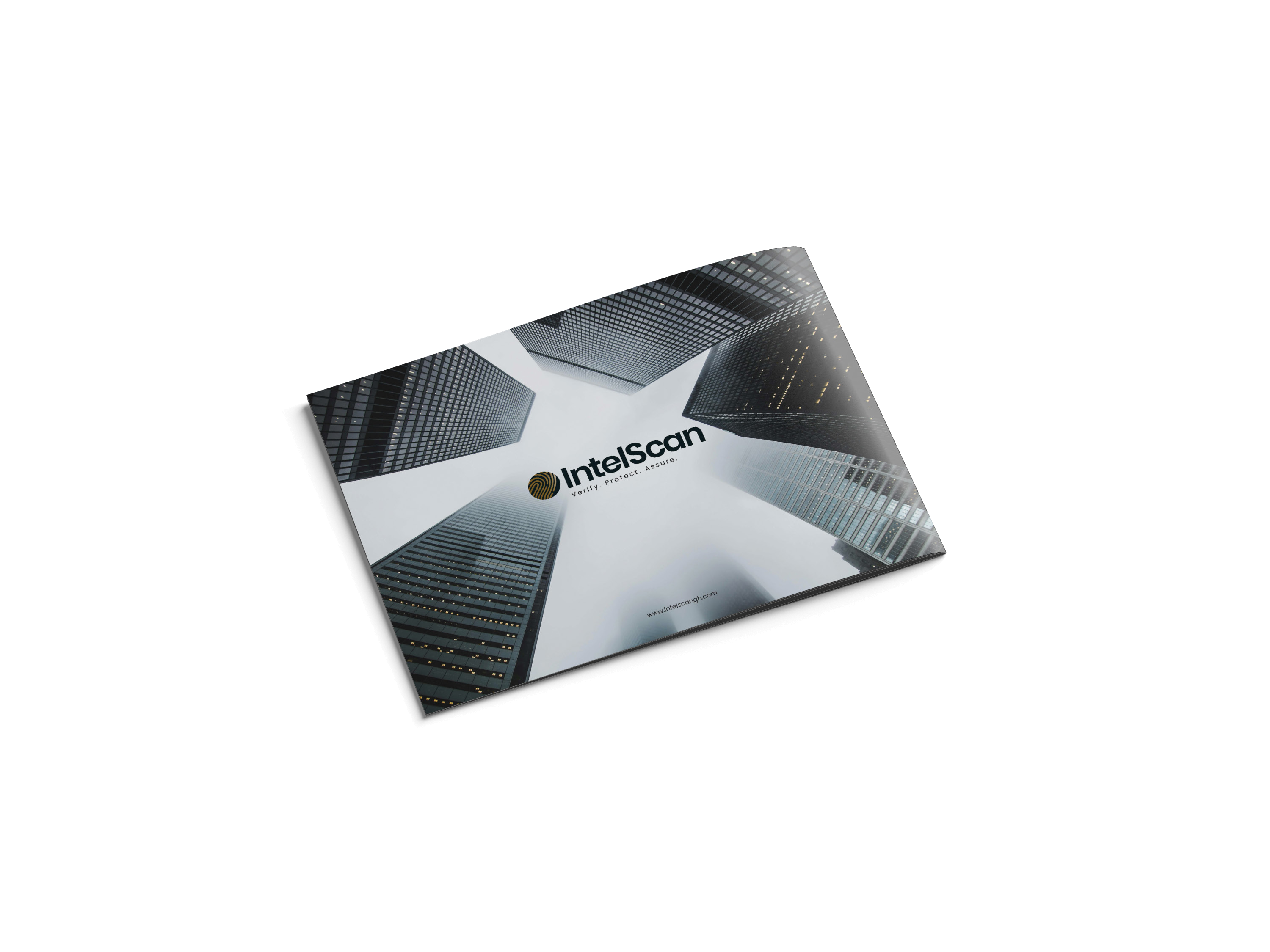 Intelscan Brand Identity image 2