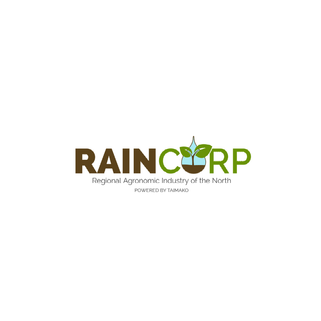 Logo Designs image 9