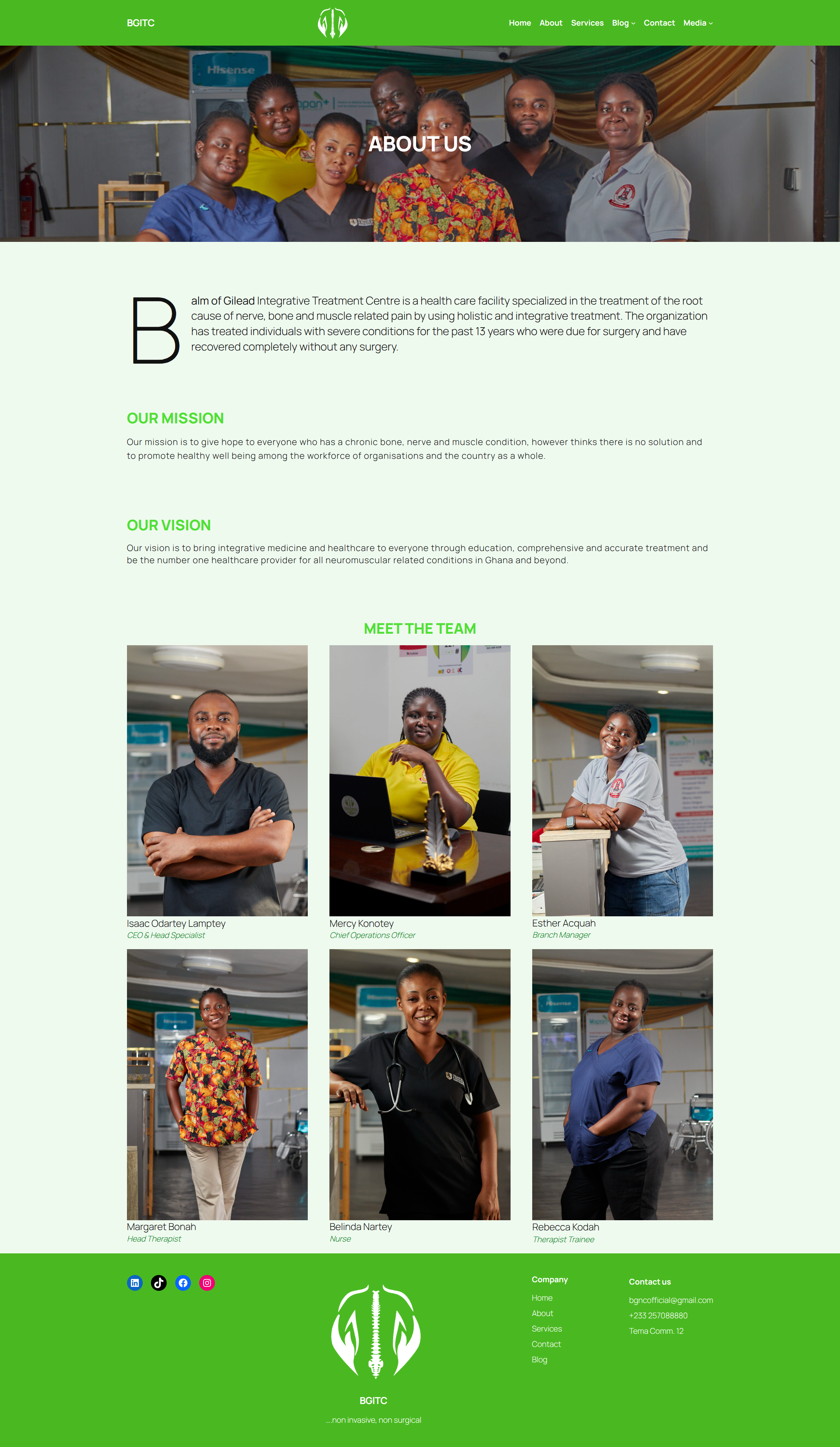 BGITC Website image 3