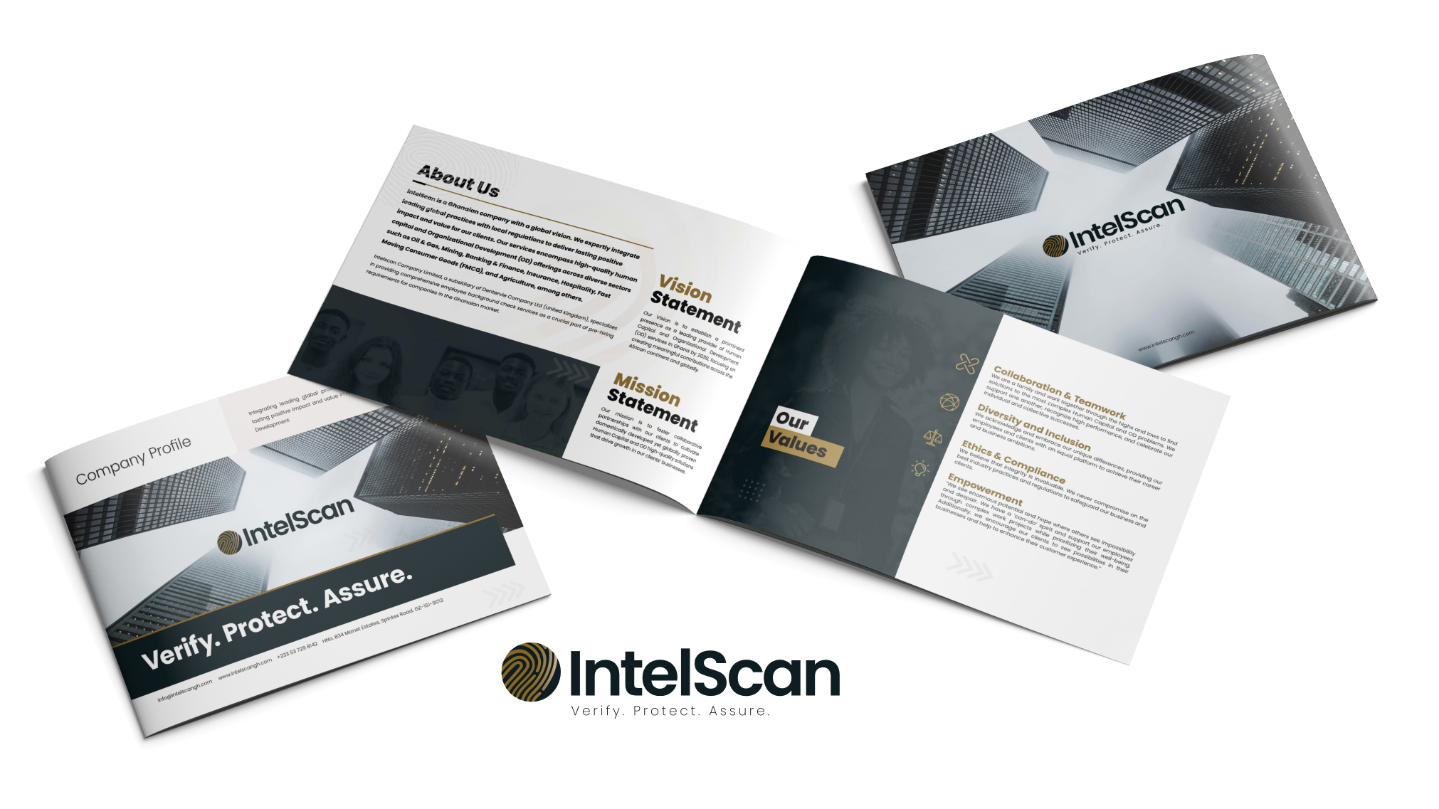 Intelscan Brand Identity image 3