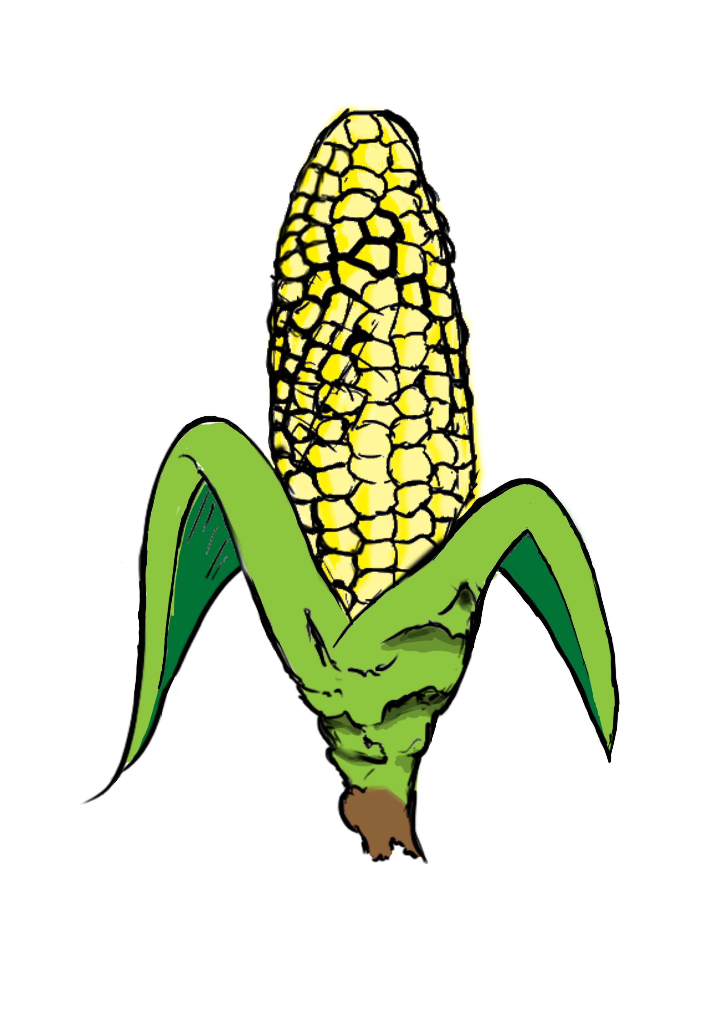 Illustrations image 9