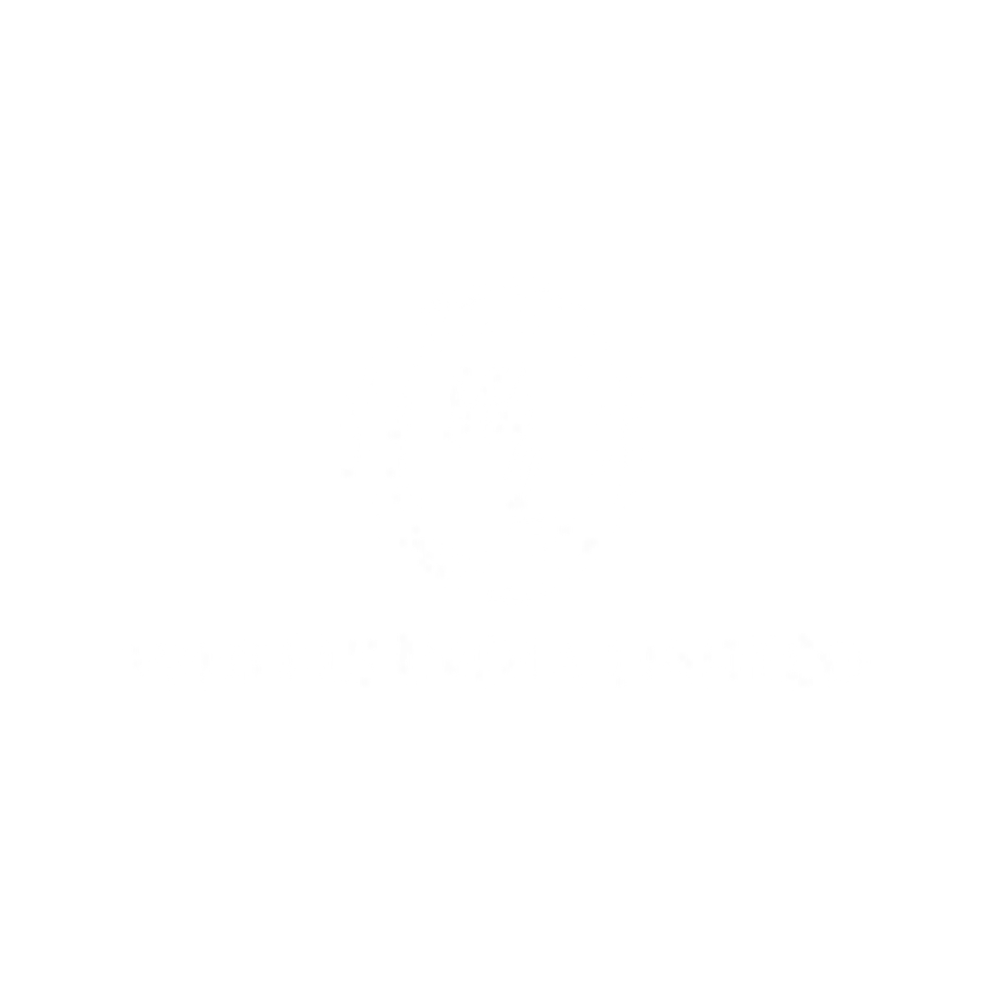 Wheels India Limited