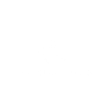 Wheels India Limited