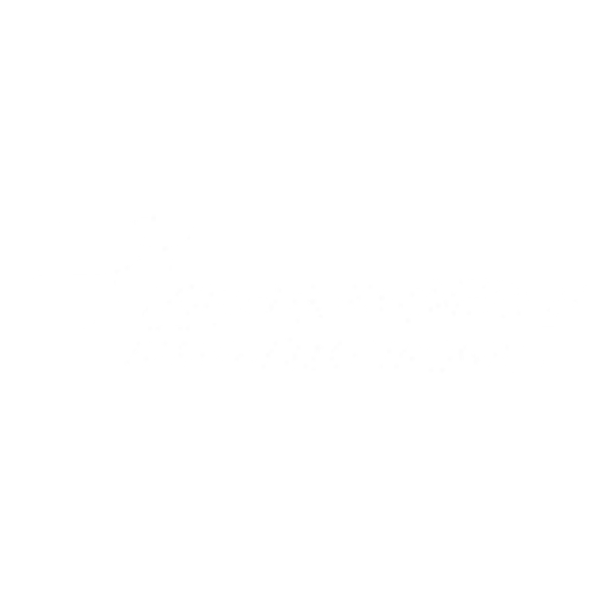Bharat Electronics Limited