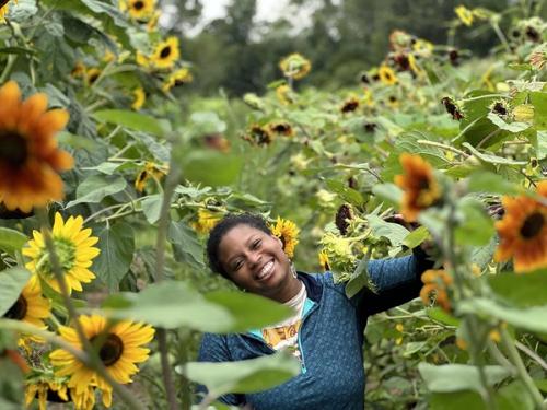 Ashley Gripper in a sunflower field.