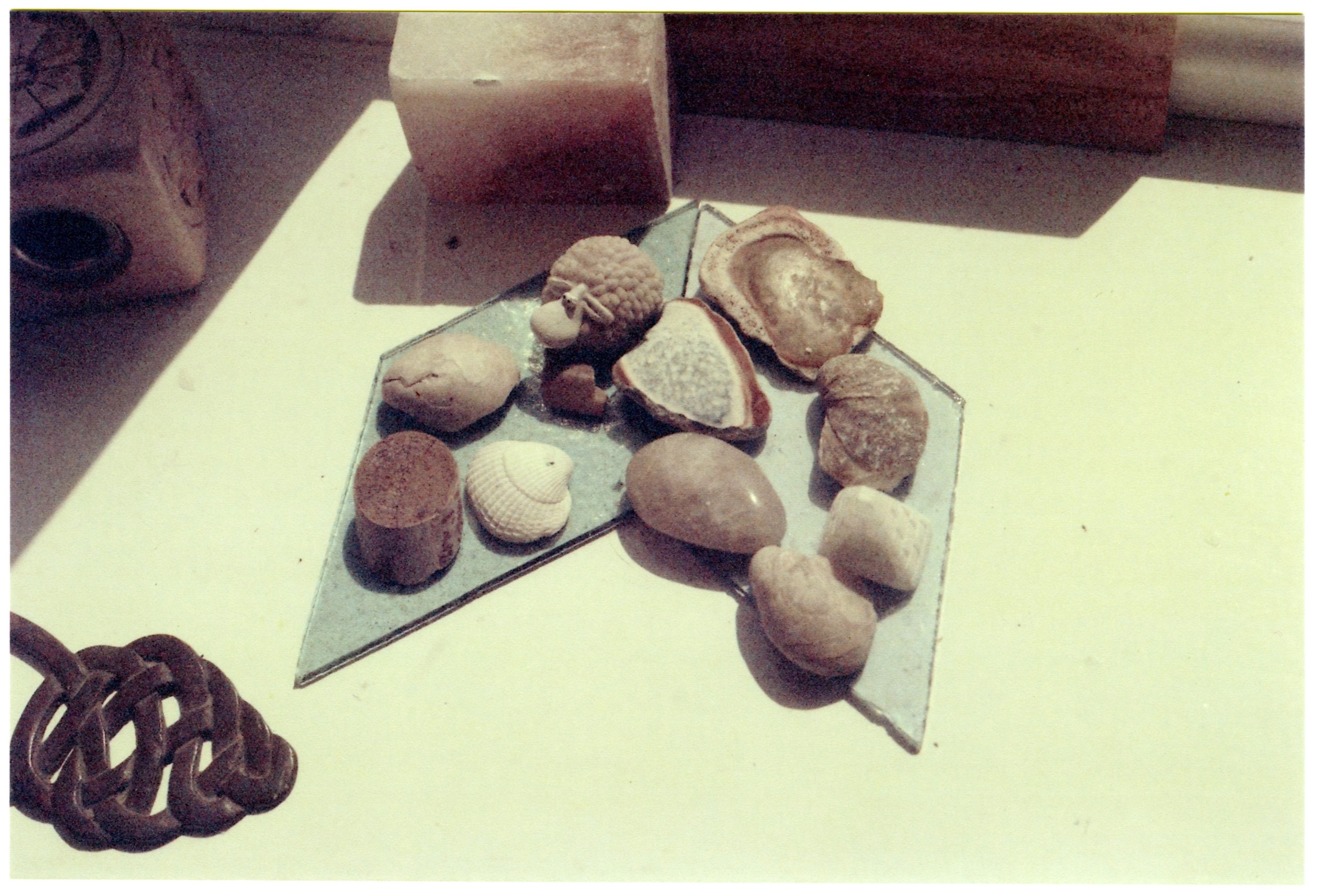 A collection of pebbles and seeds and a sheet of glass.