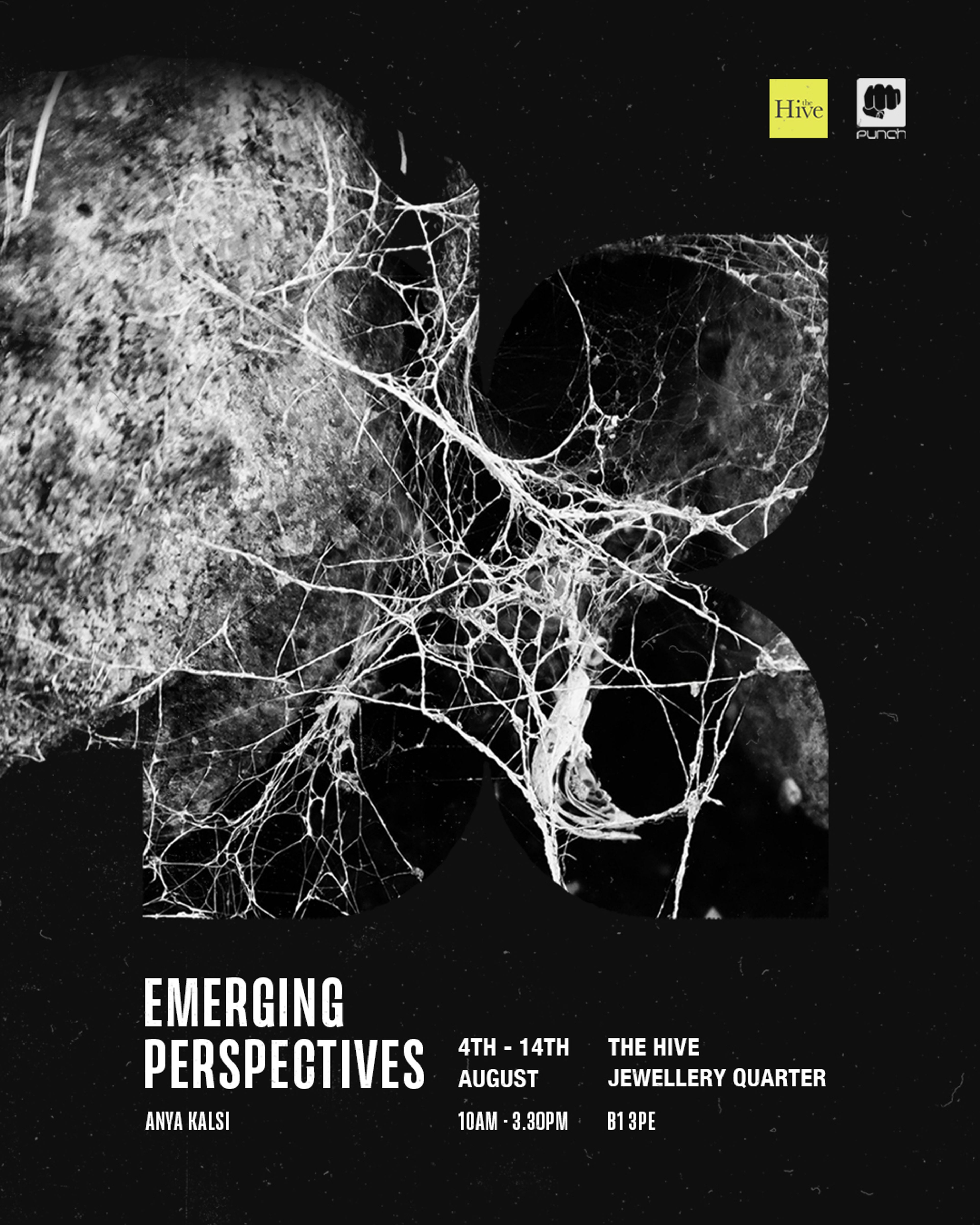 EMERGING PERSPECTIVES
ANYA KALSI
4TH - 14TH AUGUST -
10AM - 3.30PM
THE HIVE
JEWELLERY QUARTER
B1 3PE