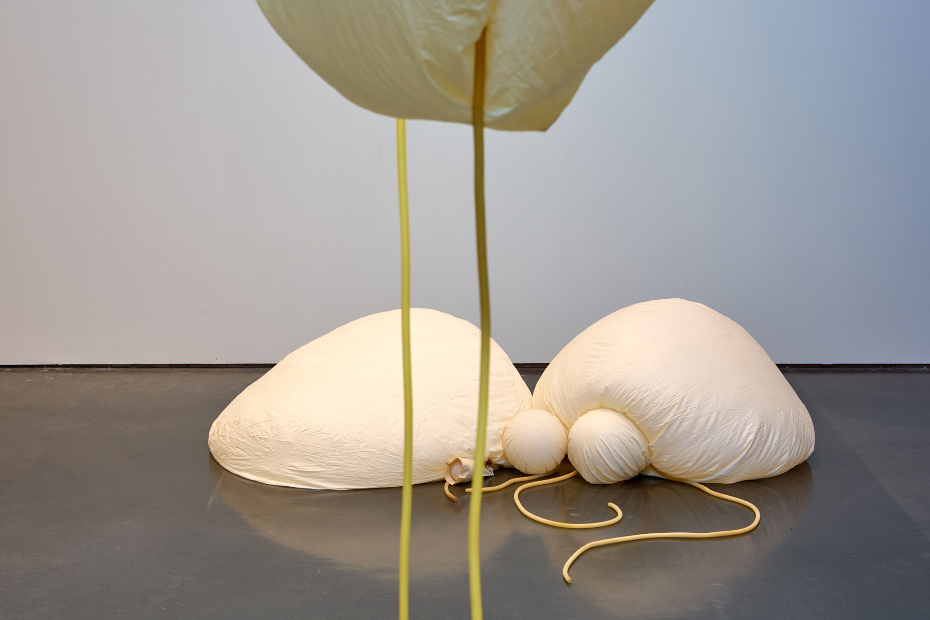 Pale yellow and peach sculptures made of latex lie inflated on a polished stone floor, against a white wall. Their legs and arms curl delicately. 