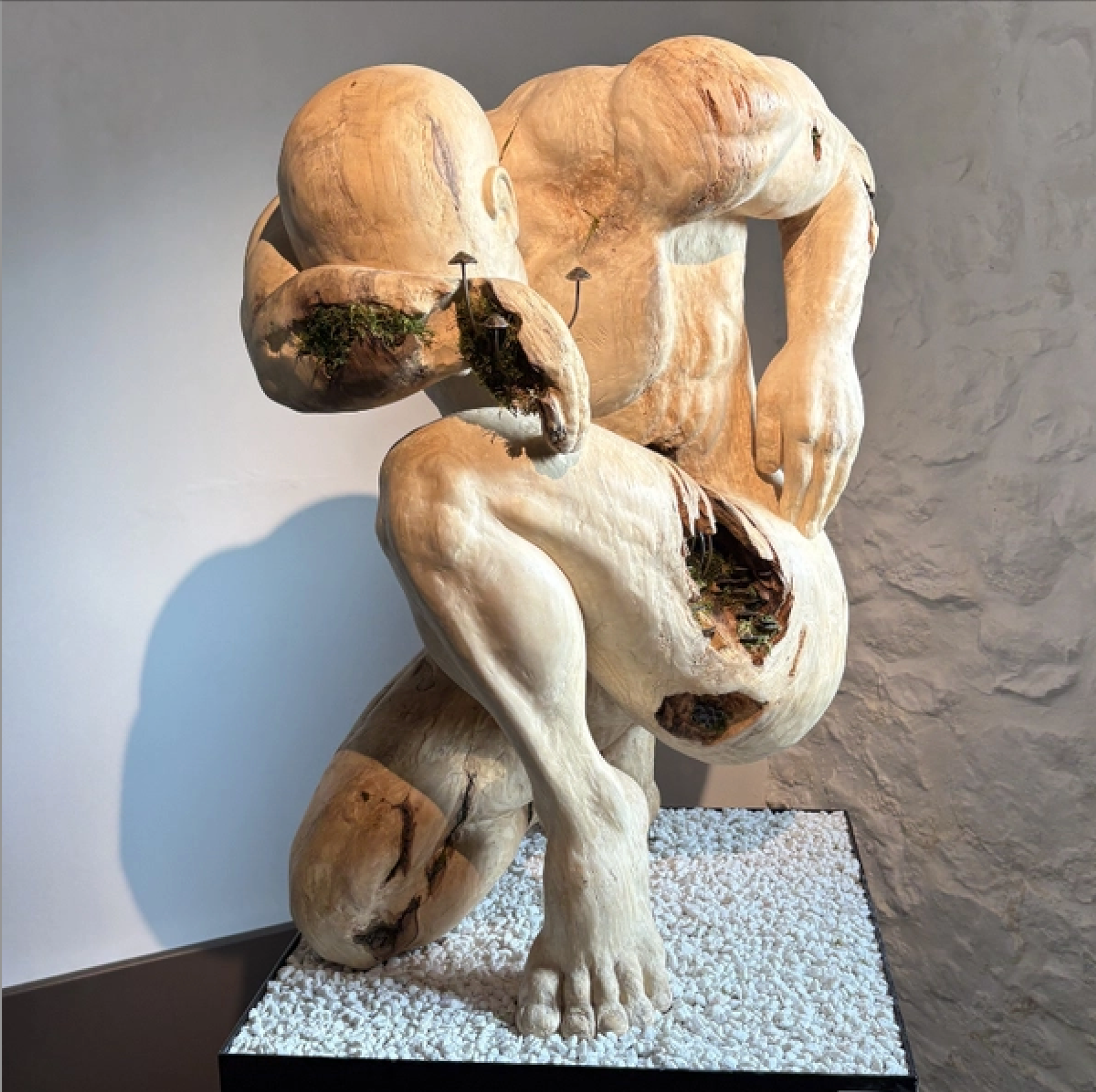 Ed Elliott Solo Show at Canwood gallery