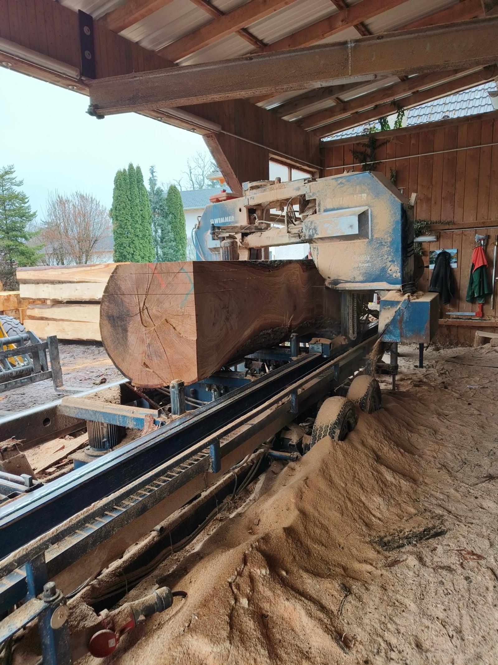 Massivholzblock auf Bandsäge, großer Baumstamm, Holzschliffstaub