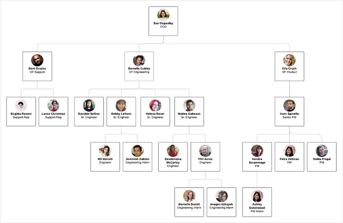 company-role-chart-1