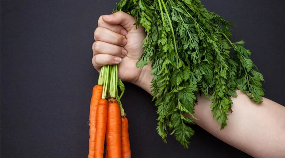 Dangling the carrot real estate cold calling script image of a bunch of carrots