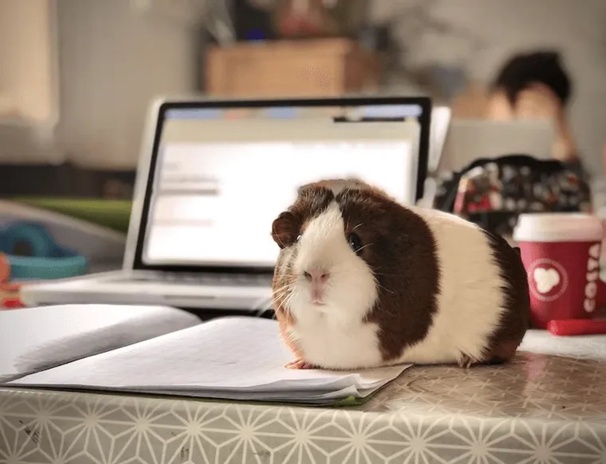 The Benefits of Improving Your Sales Automation - Reduce Distractions
