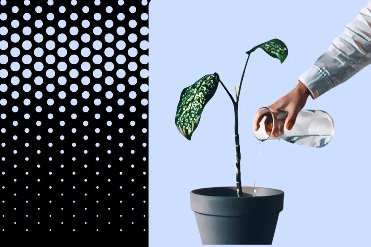 Convert Trial Users With Drip Campaigns