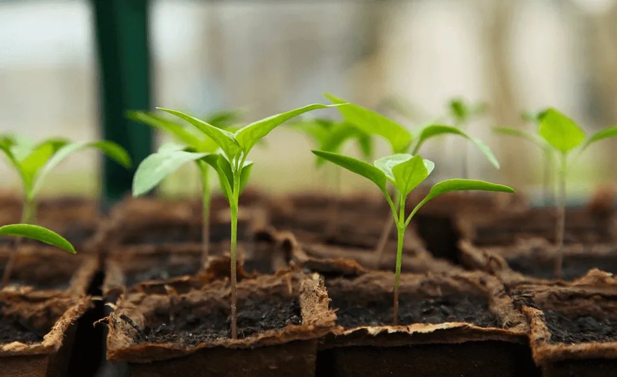 How to Improve the Sales Automation Process - Start Small