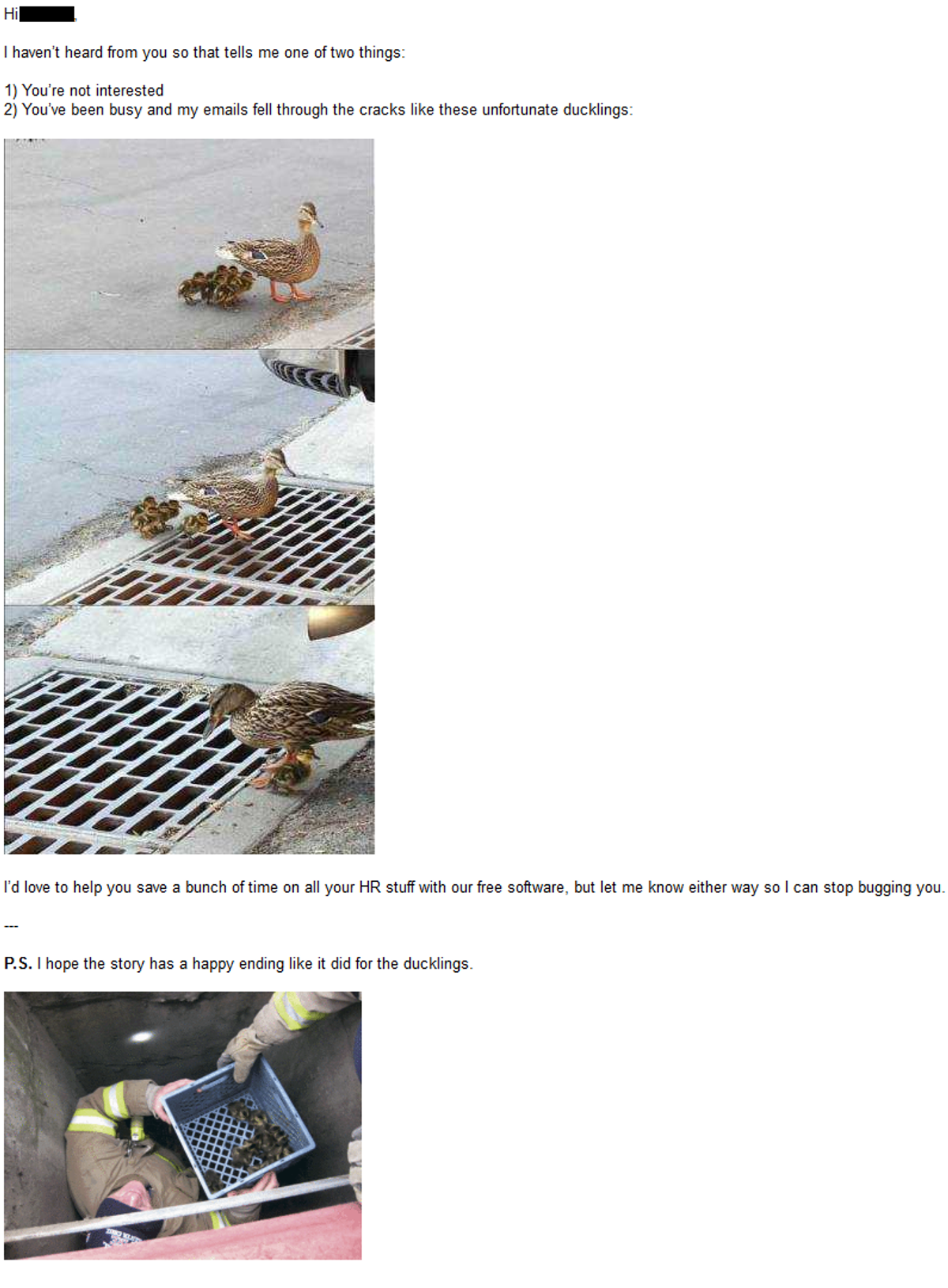 funny-follow-up.png