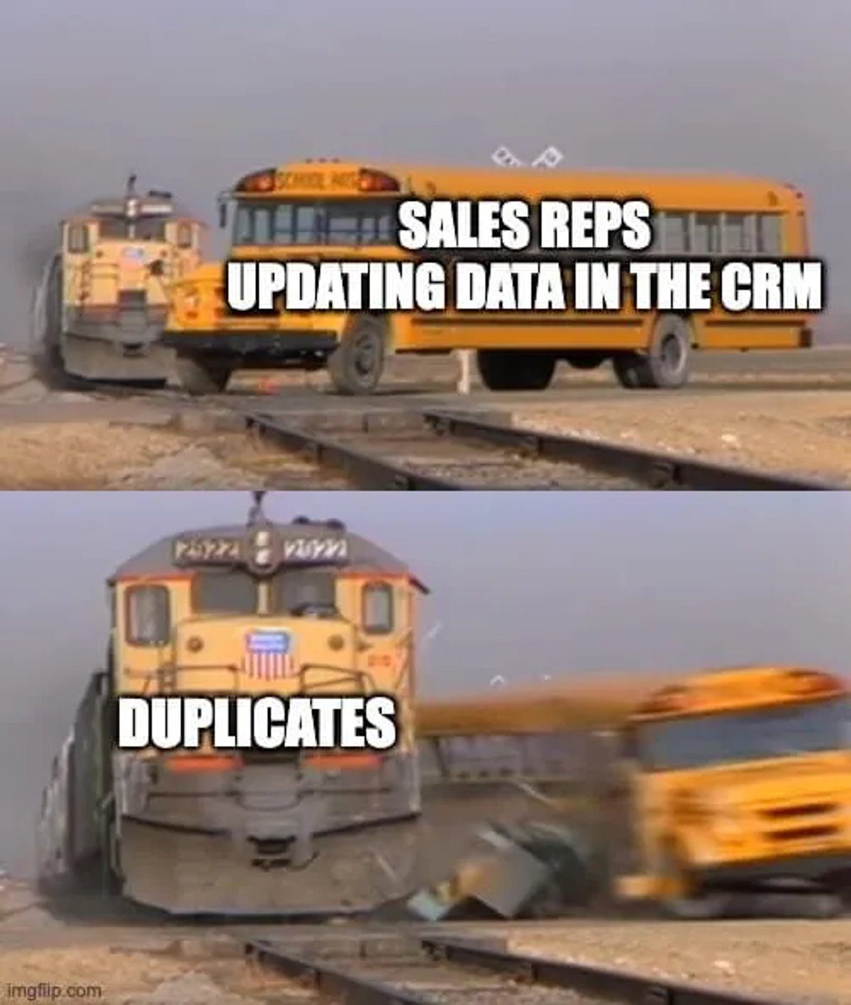 CRM Memes - Duplicates