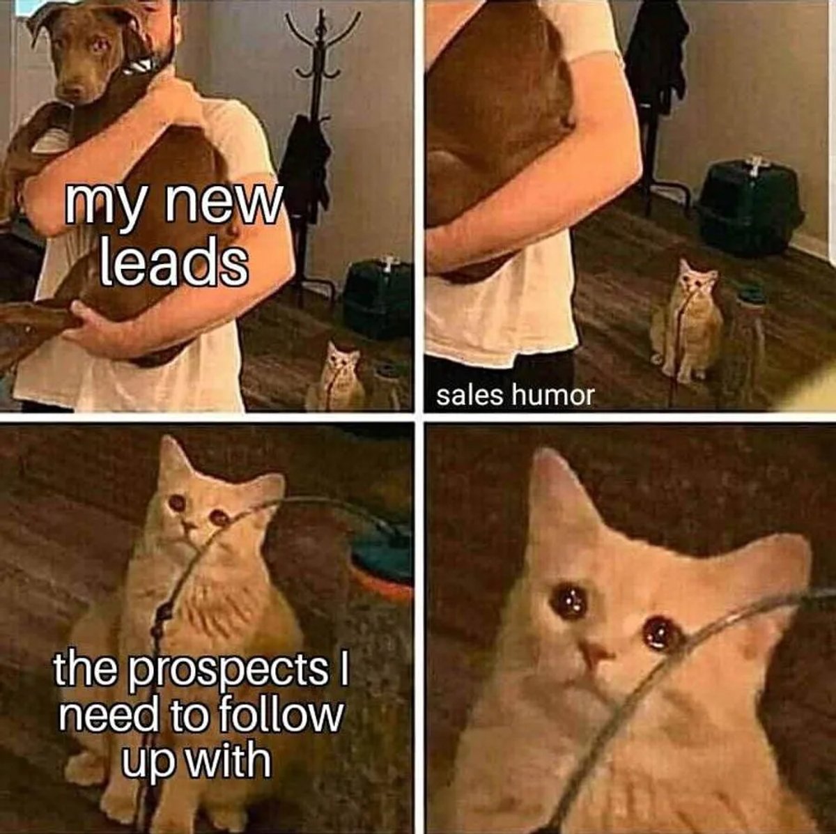 sales meme foll up