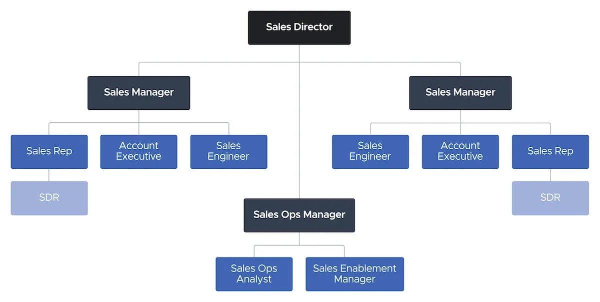 sales-organization-chart-example