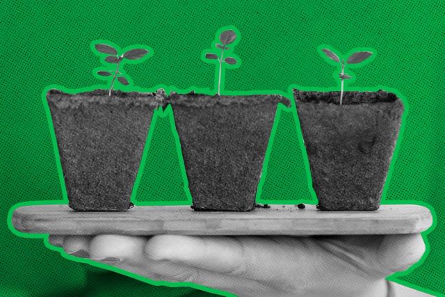 How to Handle the Unexpected Rapid Growth of Your SaaS Business
