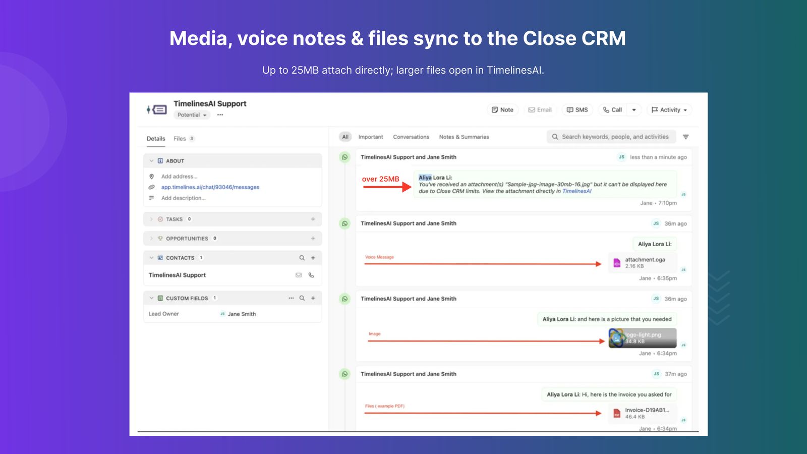 TimelinesAI screenshot
